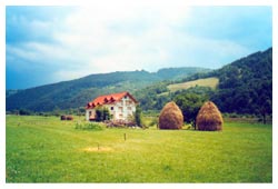 A Romanian pasture